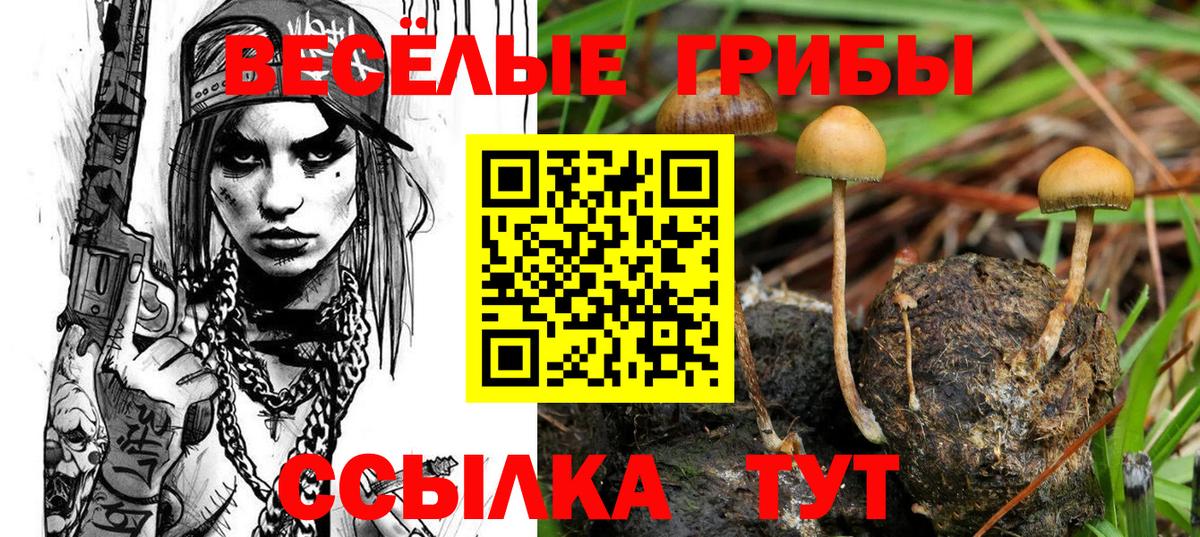 Галлюциногенные грибы мухоморы  Вход с VPN  Курск  Галлюциногенные грибы MAGIC MUSHROOMS 